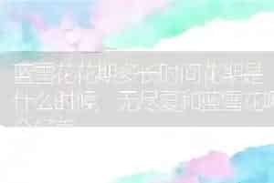 蓝雪花花期多长时间花期是什么时候