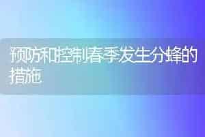 预防和控制春季发生分蜂的措施