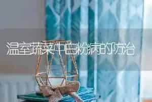 猕猴桃溃疡病的防治