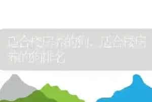 适合楼房养的狗