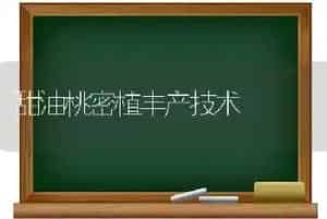 甜油桃密植丰产技术