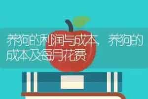 养狗的利润与成本