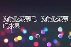 狗能吃菠萝吗
