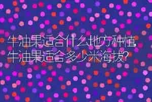 牛油果适合什么地方种植