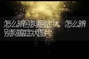 怎么辨别狗瘟症状