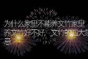 为什么家里不能养文竹家里养文竹好不好