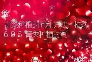 青菜种植时间和方法