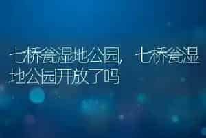 七桥瓮湿地公园