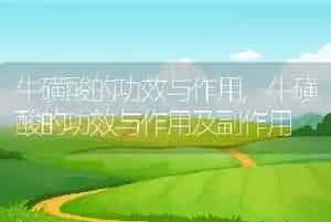 牛磺酸的功效与作用