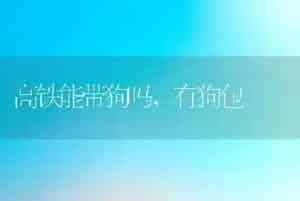 高铁能带狗吗