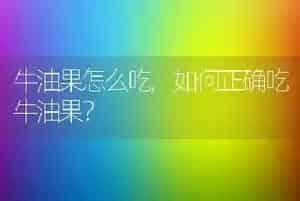 牛油果怎么吃