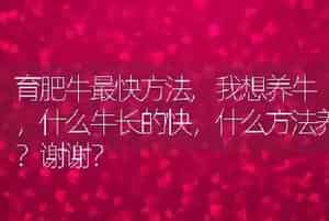 育肥牛最快方法