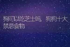 狗可以吃芝士吗