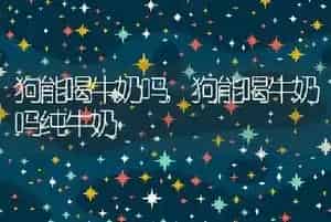 狗能喝牛奶吗