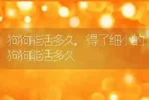 狗狗能活多久