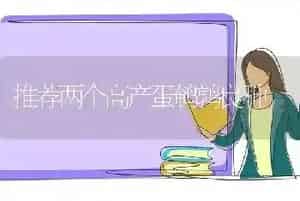 推荐两个高产蛋鹌鹑良种