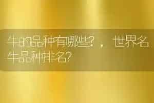牛的品种有哪些?