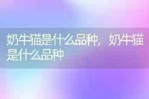 奶牛猫是什么品种