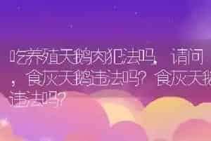 吃养殖天鹅肉犯法吗
