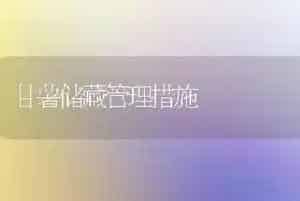 甘薯储藏管理措施