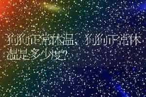 狗狗正常体温