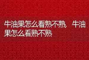 牛油果怎么看熟不熟