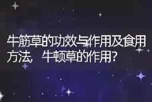牛筋草的功效与作用及食用方法