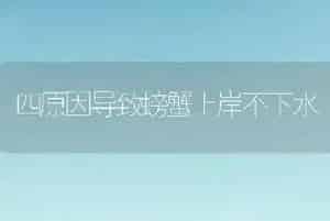 四原因导致螃蟹上岸不下水