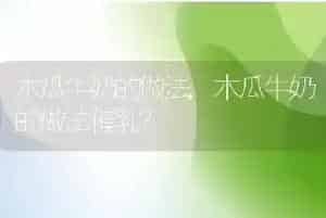 木瓜牛奶的做法