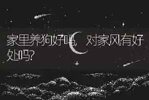 家里养狗好吗