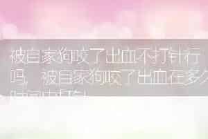 被自家狗咬了出血不打针行吗
