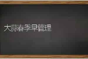 大蒜春季早管理