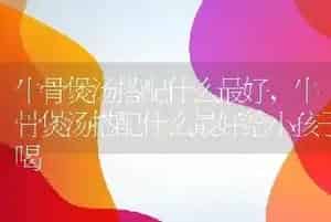 牛骨煲汤搭配什么最好