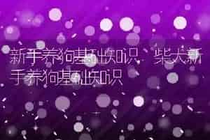 新手养狗基础知识