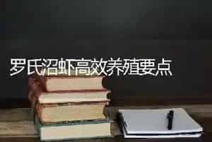 罗氏沼虾高效养殖要点