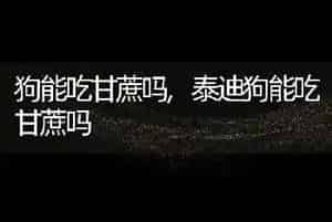 狗能吃甘蔗吗