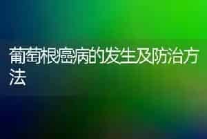 鹌鹑啄癖症防治