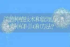 按可以组什么词