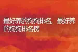 最好养的狗狗排名