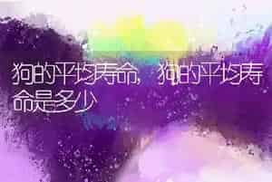 狗的平均寿命
