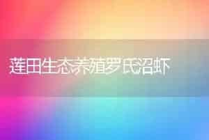 莲田生态养殖罗氏沼虾
