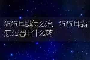 狗狗耳螨怎么治
