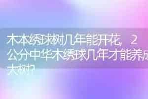 牡丹鹦鹉的智商