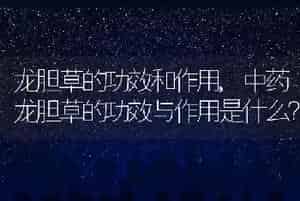 母牛多少天下牛犊