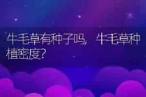 牛毛草有种子吗
