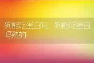 狗能吃蛋白吗