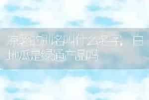 凉薯的别名叫什么名字