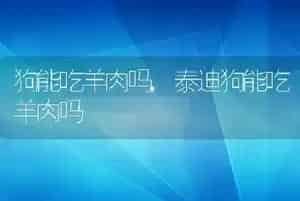 狗能吃羊肉吗