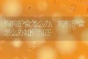 狗狗护食怎么办