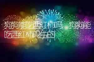狗狗能吃西红柿吗